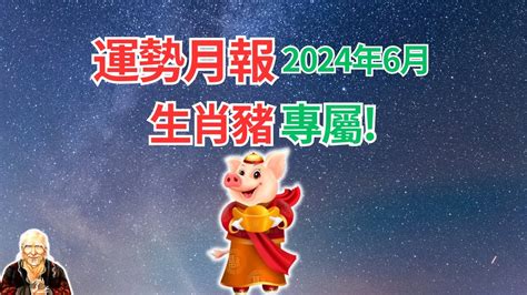 2024生肖豬|2024屬豬幾歲、2024屬豬運勢、屬豬幸運色、財位、禁忌